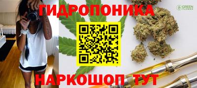 мдпв Краснодар