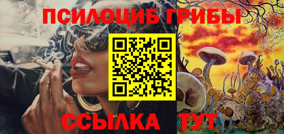 Псилоцибиновые грибы мицелий Ишимбай